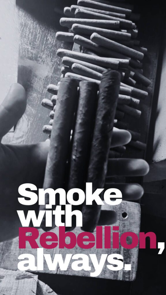 REBELLION CIGARS