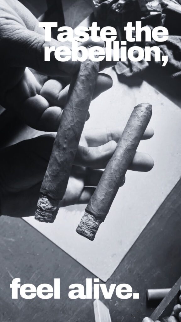 REBELLION CIGARS