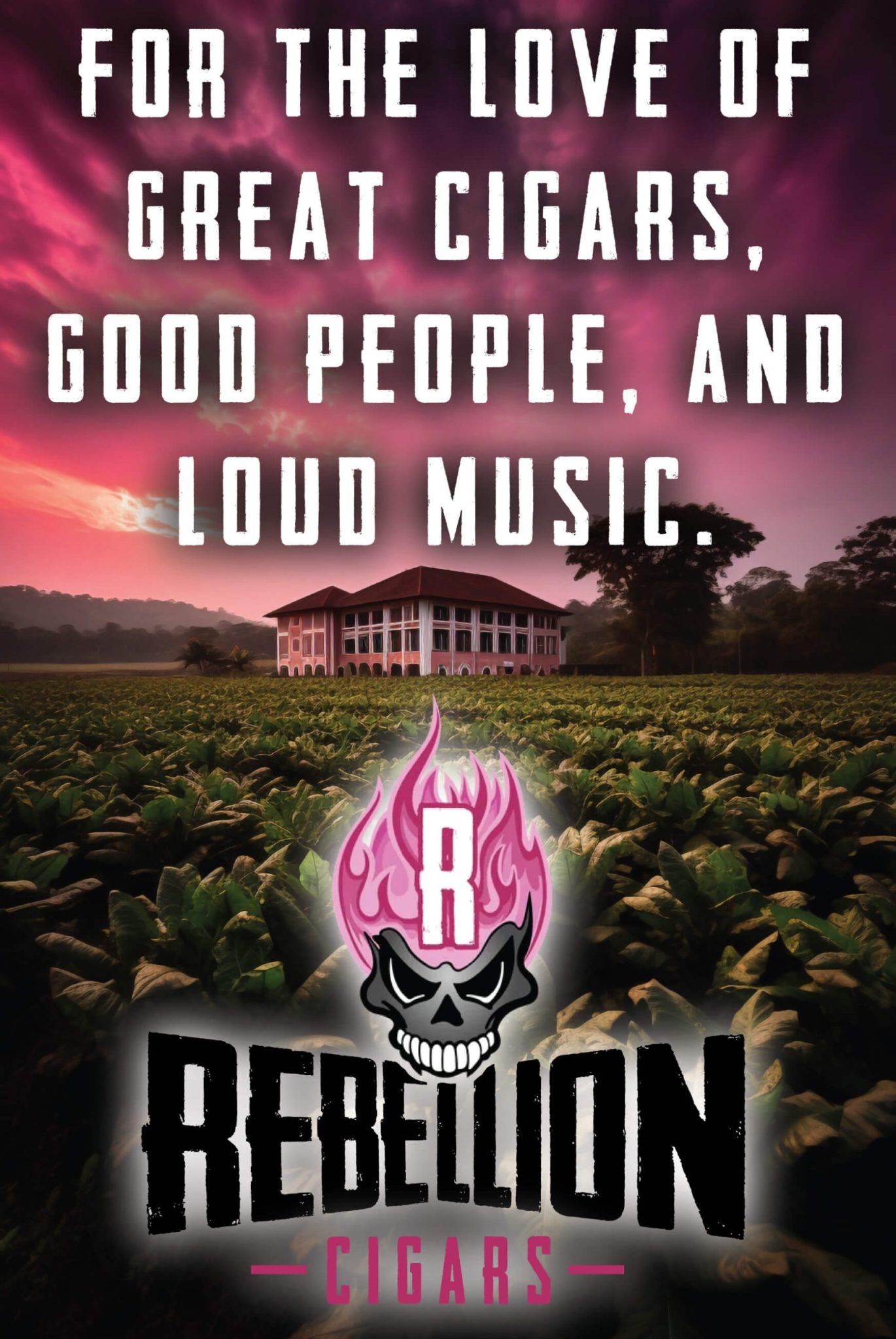 Rebellion Cigars Poster